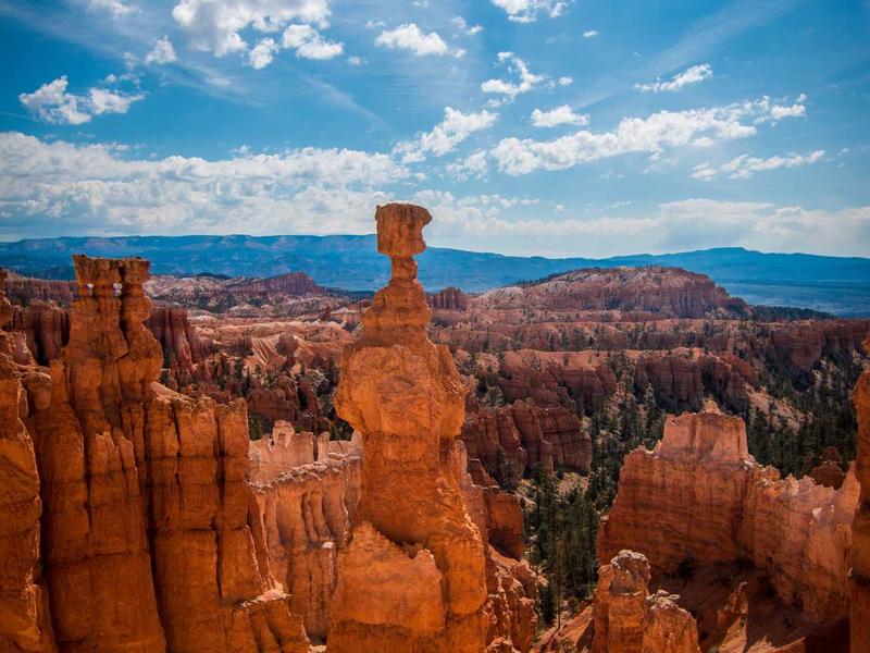 feedback screenshot 3